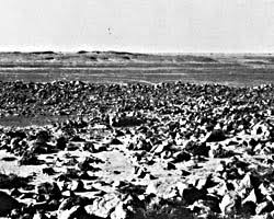 Résultat de recherche d'images pour "semsiyat dome"