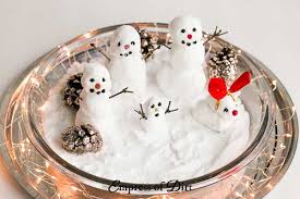 Sprinkle the sparkly mixture on the wet glue and allow to dry. 6 Craft Recipes To Make Fake Snow Empress Of Dirt