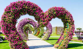 Cara membuat bunga dari sedotan beserta gambarnya bagi anda yang gemar melakukan hobi kerajinan tangan dari bahan bekas, pasti tak asing dengan kerajinan tangan dari bahan bekas sedotan. 9 Bunga Cantik Berasal Dari Sedotan Plastik Bekas Dan Cara Membuatnya Seruni Id