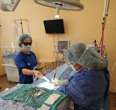 With rotating weekends and holidays. Greenwood Veterinarian Angel Animal Hospital