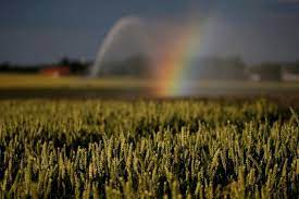 Також можуть діяти додаткові умови. 12 Serpnya Svyato Molodi Den Sili Sho Ne Mozhna Robiti Yake Sogodni Svyato Glavred