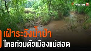 Tpbs operates thai pbs (ไทยพีบีเอส), which was formerly known as itv, titv and tv thai television station, respectively. Ev71jllyhzy5nm