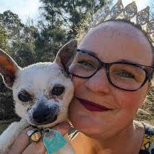 Clarendon Companions by Fox Press