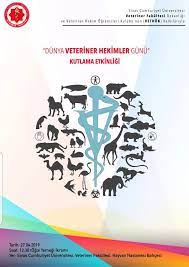Yağmur çamur demeden çalışan veteriner hekimlerimiz her zaman bir teşekkürü hak ediyorlar. Sivas Cumhuriyet Universitesi