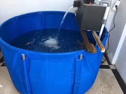 Wa 0856 2400 8940 Distributor Jual Kolam Terpal Bulat Bioflok Kirim Ke Daerah Demak Kolam Terpal Bambu Potensi Ikan Yang Cocok Untuk Daerah Dengan Perairan Mengalir Cupang Kirim Ke Daerah Genteng Kolam Terpal Custom Bioflok