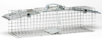Once your trap is set, you can test the trigger by gently pressing on the trip plate. Traps Morristown Agway Morristown Nj