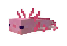 · chimy chumbkins over axolotls . Axolotls Add On Minecraft Pe Mods Addons