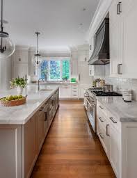 new canaan ct weimaraner