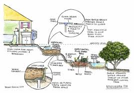 Natural Way To Recycle Used Water For Better Uses Mit Bildern Permakultur Nachhaltigkeit Farn