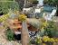 Tropical Backyard Ideas