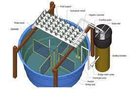 Production Of Pacific White Shrimp And Sarcocornia Ambigua In A Marine Aquaponic System
