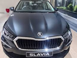 Image result for Carbon Steel Matte 2024 Slavia