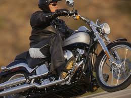 We did not find results for: 2000 Harley Davidson Fxstd Softail Deuce Riding Impression Cycle World