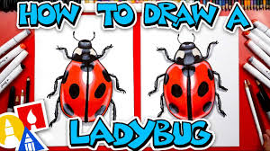 Download this free vector about ladybugs flying in the garden, and discover more than 11 million professional graphic resources on freepik. How To Draw A Realistic Ladybug Youtube