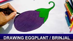 How To Draw Eggplant Brinjal With Easy Steps
