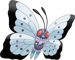 Over 16 Seasons, Still The Biggest Lie Of My Childhood Why Can'T Game Freak  Or Who Ever Runs The Tv Shows Understand That We Need More Butterfree In  Our Lives. : R/Pokemon