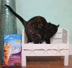 This easy diy cat hammock is an easy beginner sewing project that your cat will love! 14 Diy Cat Beds For A Comfy Kitty Nap Shelterness