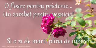 O, invatatorule al pocaintei si marite proorocule. O Floare Pentru Prietenie Un Zambet Pentru Vesnicie Si O Zi De Marti Plina De Iubire Mesajeurarifelicitari Com