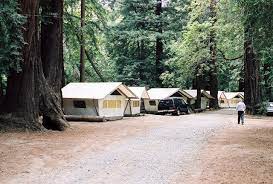 They have camp sites, rv sties, tent cabins, and two sizes of cabins. Fernwood Resort Big Sur Ca California Beaches