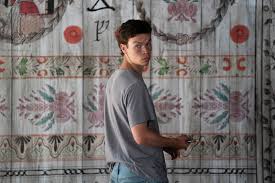 It follows a group of friends who travel to sweden for a festival that occurs once every 90 years. Bild Von Midsommar Bild 8 Auf 26 Filmstarts De