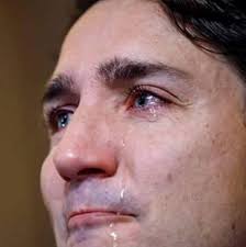 Image result for Justin trudeau crying