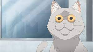 Anime Cat of the Day 🐾 — Today's anime cat of the day is: Kuso Cat from...