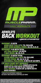 Arnolds Back Workout Arnold Back Workout Arnold Workout