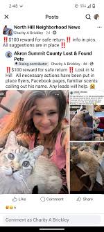 Not my post, just sharing. Found cat