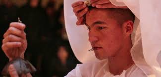 Open Field. Vol. VI. Propiedad Intensiva