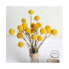 Maybe you would like to learn more about one of these? 30pcs Dried Craspedia Dried Flowers Billy Button Balls Artificial Flowers Fake Silk Yellow Flowers For Decor Room Decoration Hot Promo 5321 Goteborgsaventyrscenter