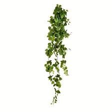 Maybe you would like to learn more about one of these? Vickerman 6 Artificial Pothos Hanging Bush Target