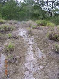 Kebakaran hutan di gunung ciremai. Https Www Preventionweb Net Files 30025 Georiskgeologicalhazardandriskasses Pdf