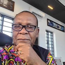 APC chieftain, Joe Igbokwe, continues to lament about current high  electricity tariff