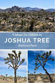Hiking In Joshua Tree National Park 8 Incredible Day Hikes The Unending Journey Joshua Tree National Park National Parks Trip National Parks