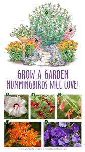 Grow A Garden Hummingbirds Love Flower Garden Plans Butterfly Garden Design Beautiful Flowers Garden