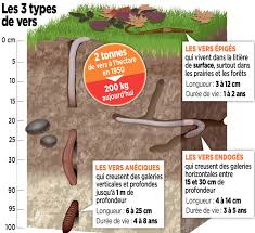 10 novembre 2019 festival alimenterre bienvenue les vers de terre. 5 Conseils Pour Favoriser La Presence Des Vers De Terre