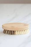 CASA AGAVE® Duo Tone Vegetable Brush | General Cleaning ...