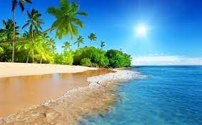 We did not find results for: 1000 Best Beach Mac Wallpapers Free Hd Download Allmacwallpaper