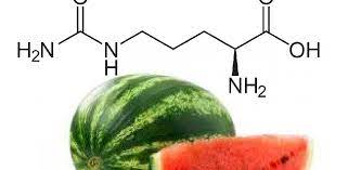 Nel cocomero, dal quale fu isolata per la prima volta, nel cetriolo, nei meloni giallo e verde, nelle mele, in zucca e zucchine e in aglio e cipolla. Vuoi Avere Forza E Resistenza La Citrullina E Cio Che Fa Per Te Integratorinforma Com