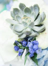 With the exception of a little experience helping with a family wedding, none of us really knew what we were doing, but we ended up putting something beautiful together in about 90 minutes. Wedding Rings With Succulent And Blue Fresh Flowers Blue And Stock Photo Picture And Royalty Free Image Image 164354198