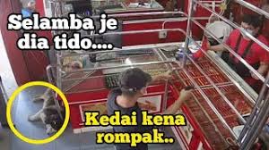 Mula dengan diri kita sendiri dulu. Gelagat Anjing Tidur Semasa Kedai Diromp4k Jadi Viral Youtube Malaysia