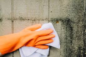 Bleach does not kill mold on porous surfaces and can actually contribute to mold growth! How To Clean Mold Off Wood