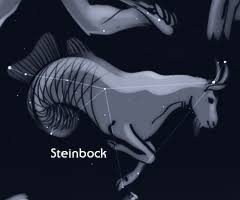 Er mag es gern ruhig und übersichtlich und schätzt gute gespräche. Steinbock Astrokramkiste