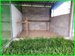 Kandang breeding kambing sistem umbaran. 30 Gambar Kandang Ayam Sederhana Minimalis Dan Modern Daftarhewan Com
