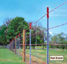Check spelling or type a new query. Red Brand Barbed Wire Gives Back To Ffa Chapters Farmer S Co Op