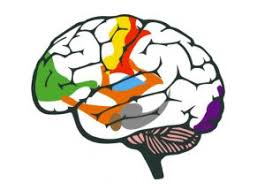 Música e aprendizado | Colégio Palavra Viva