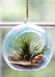 Pin On Coastal Beach Crafts Diy Ideas