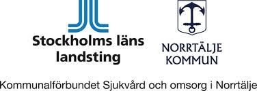 Personnummer/användarnamn personnummer i formatet ååååmmddnnnc eller. Stockholms Lans Landsting Webmail