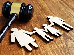 Regulation under the land code amendment act 1999 (source department of lands): A Critical Analysis Of Hindu Succession Amendment Act 2005 Ipleaders