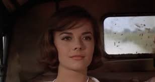 Film Friday: "Splendor in the Grass" (1961)